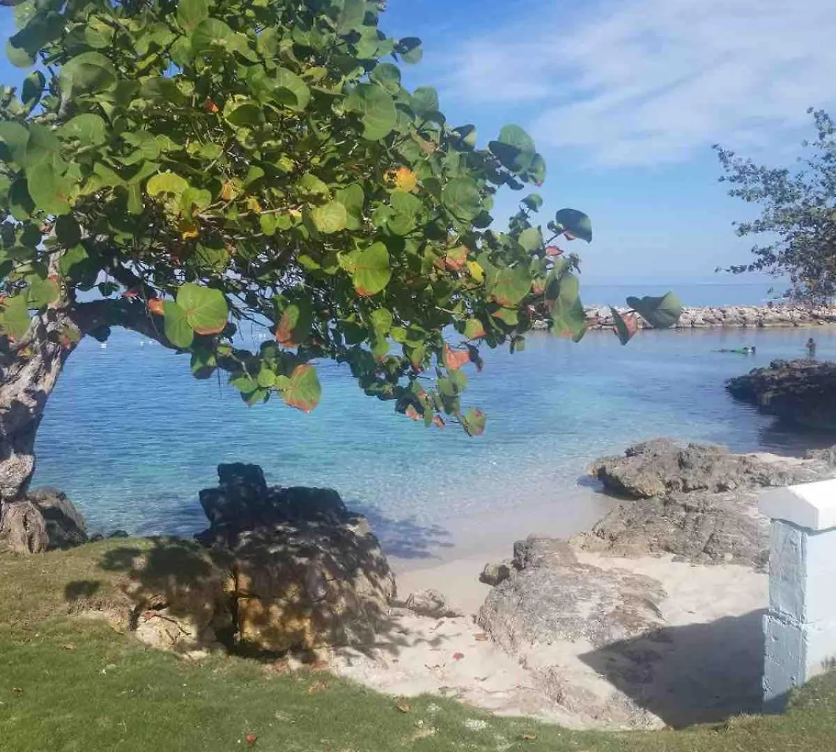 Coastal Haven -Oceanfront Escape Apartment Orange Bay