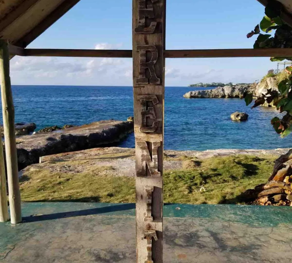 Coastal Haven -Oceanfront Escape Apartment Orange Bay