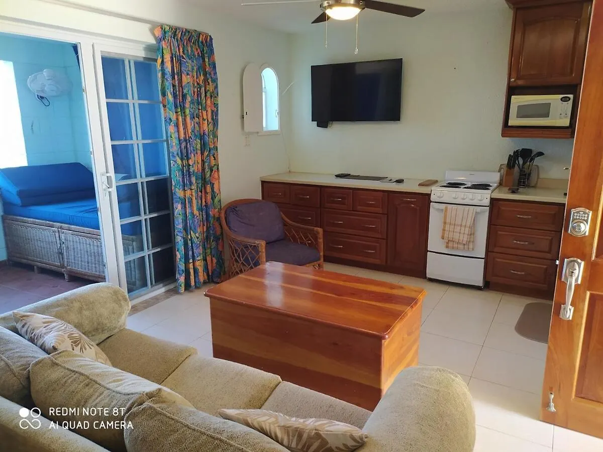 Coastal Haven -Oceanfront Escape Apartment Orange Bay