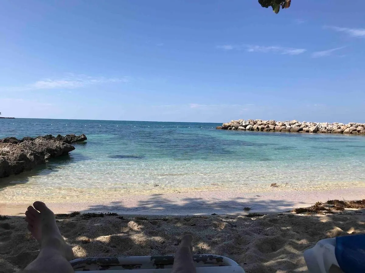 Coastal Haven -Oceanfront Escape Apartment Orange Bay 0*,  Jamaica