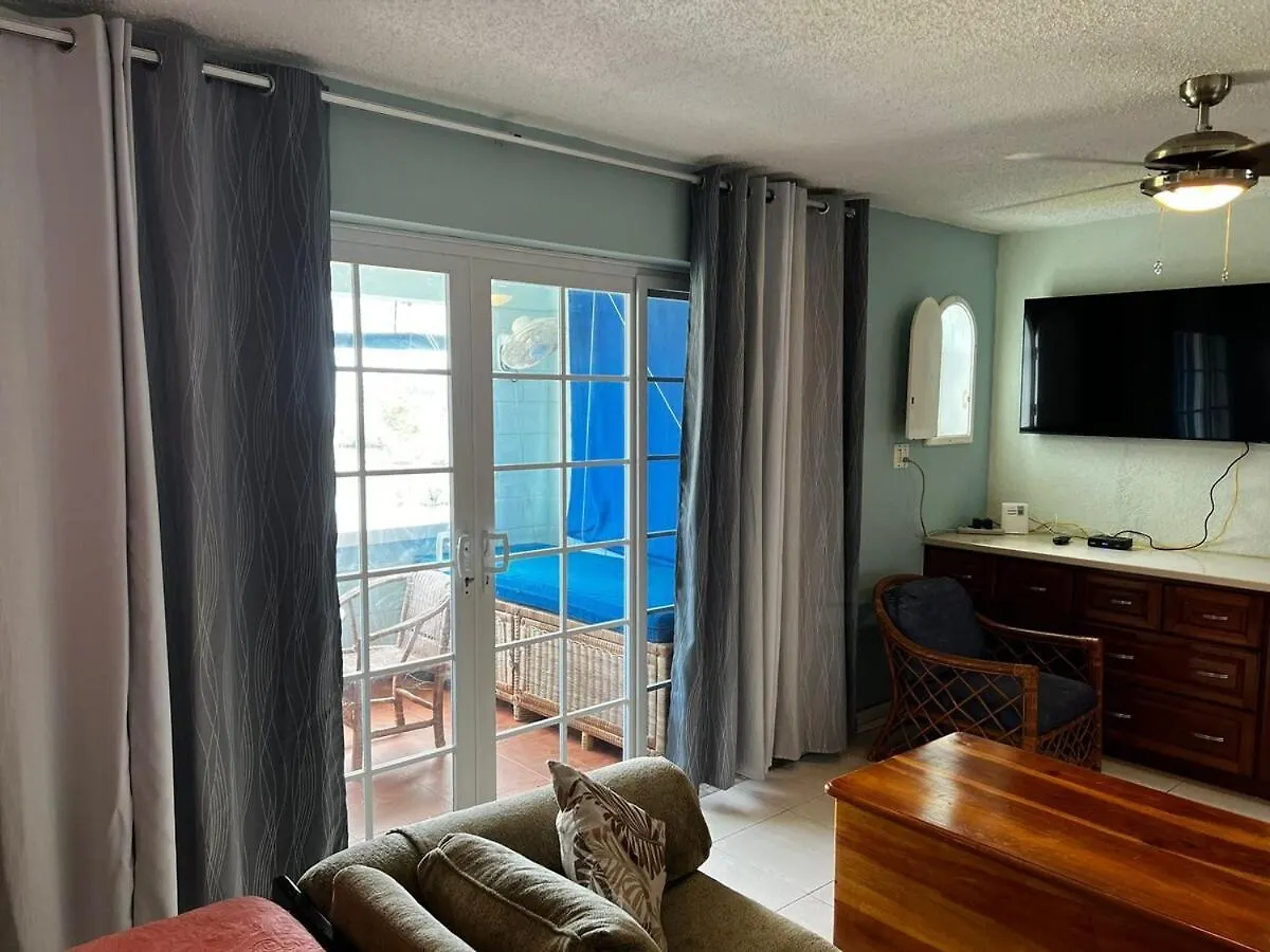 Coastal Haven -Oceanfront Escape Apartment Orange Bay