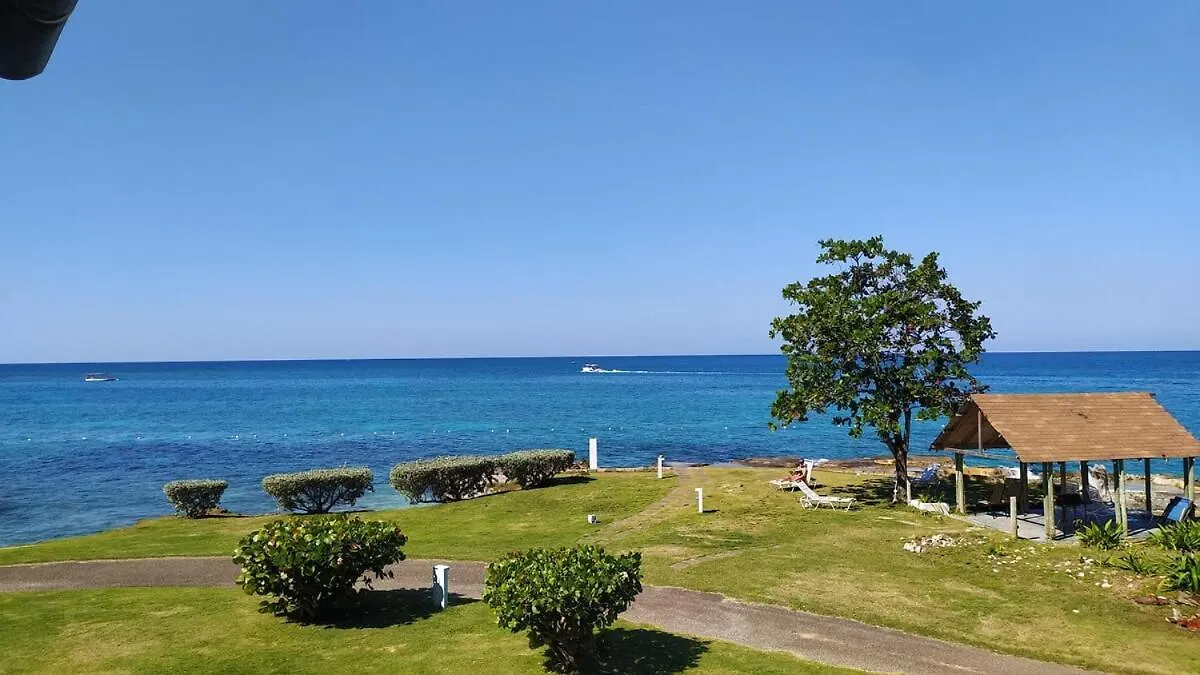 Coastal Haven -Oceanfront Escape Apartment Orange Bay
