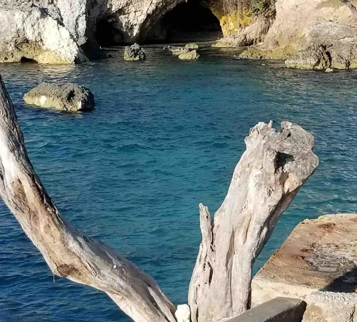 Coastal Haven -Oceanfront Escape Apartment Orange Bay Jamaica
