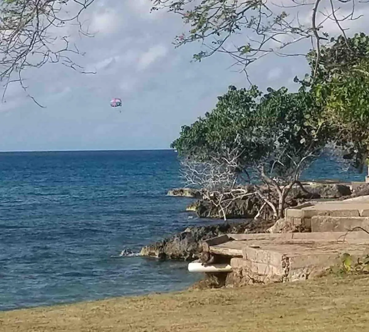 Coastal Haven -Oceanfront Escape Apartment Orange Bay 0*,  Jamaica